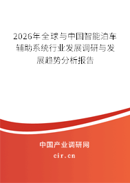 2026年全球與中國智能泊車輔助系統(tǒng)行業(yè)發(fā)展調(diào)研與發(fā)展趨勢分析報告 2026年全球與中國智能泊車輔助系統(tǒng)行業(yè)發(fā)展調(diào)研與發(fā)展趨勢分析報告