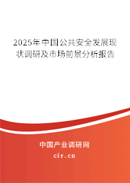 2025年中國公共安全發(fā)展現(xiàn)狀調(diào)研及市場前景分析報告 2025年中國公共安全發(fā)展現(xiàn)狀調(diào)研及市場前景分析報告