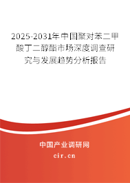 2025-2031年中國聚對苯二甲酸丁二醇酯市場深度調查研究與發(fā)展趨勢分析報告