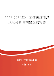 2025-2031年中國煉焦煤市場現(xiàn)狀分析與前景趨勢報告