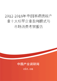 2012-2018年中國苯磺酰胺產(chǎn)業(yè)十大標竿企業(yè)盈利模式與市場消費考察報告