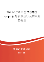 2025-2031年全球與中國(guó)ipvpn服務(wù)發(fā)展現(xiàn)狀及前景趨勢(shì)報(bào)告