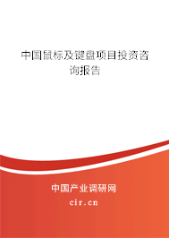 中國(guó)鼠標(biāo)及鍵盤項(xiàng)目投資咨詢報(bào)告