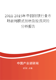 2011-2015年中國硅鐵行業(yè)市場(chǎng)贏利模式剖析及投資風(fēng)險(xiǎn)分析報(bào)告