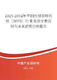 2025-2031年中國倉儲管理系統(tǒng)（WMS）行業(yè)發(fā)展全面調(diào)研與未來趨勢分析報告
