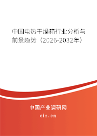 中國電熱干燥箱行業(yè)分析與前景趨勢（2026-2032年）