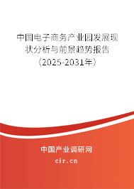 中國電子商務(wù)產(chǎn)業(yè)園發(fā)展現(xiàn)狀分析與前景趨勢報(bào)告（2025-2031年）