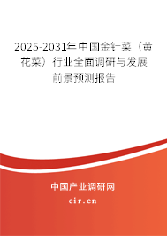 2025-2031年中國金針菜（黃花菜）行業(yè)全面調(diào)研與發(fā)展前景預(yù)測報告