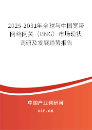2025-2031年全球與中國寬帶網(wǎng)絡網(wǎng)關(BNG)市場現(xiàn)狀調(diào)研及發(fā)展趨勢報告 2025-2031年全球與中國寬帶網(wǎng)絡網(wǎng)關(BNG)市場現(xiàn)狀調(diào)研及發(fā)展趨勢報告