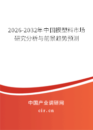 2023-2024年中國模塑料市場研究分析與前景趨勢(shì)預(yù)測(cè) 2023-2024年中國模塑料市場研究分析與前景趨勢(shì)預(yù)測(cè)