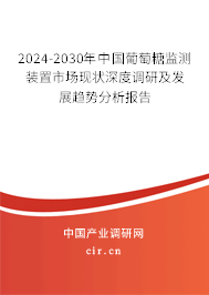2024-2030年中國葡萄糖監(jiān)測裝置市場現(xiàn)狀深度調(diào)研及發(fā)展趨勢(shì)分析報(bào)告