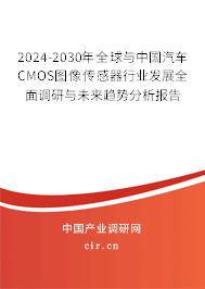 2024-2030年全球與中國汽車CMOS圖像傳感器行業(yè)發(fā)展全面調(diào)研與未來趨勢分析報告