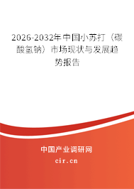 2026-2032年中國(guó)小蘇打（碳酸氫鈉）市場(chǎng)現(xiàn)狀與發(fā)展趨勢(shì)報(bào)告