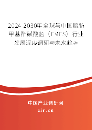 2024-2030年全球與中國脂肪甲基酯磺酸鹽(FMES)行業(yè)發(fā)展深度調(diào)研與未來趨勢 2024-2030年全球與中國脂肪甲基酯磺酸鹽(FMES)行業(yè)發(fā)展深度調(diào)研與未來趨勢