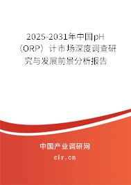 2025-2031年中國(guó)pH(ORP)計(jì)市場(chǎng)深度調(diào)查研究與發(fā)展前景分析報(bào)告 2025-2031年中國(guó)pH(ORP)計(jì)市場(chǎng)深度調(diào)查研究與發(fā)展前景分析報(bào)告