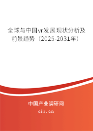 全球與中國(guó)vr發(fā)展現(xiàn)狀分析及前景趨勢(shì)（2025-2031年）
