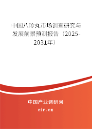 中國八珍丸市場調(diào)查研究與發(fā)展前景預(yù)測報告(2025-2031年) 中國八珍丸市場調(diào)查研究與發(fā)展前景預(yù)測報告(2025-2031年)