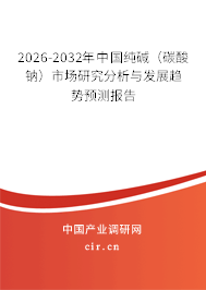 2026-2032年中國純堿（碳酸鈉）市場研究分析與發(fā)展趨勢預(yù)測報告