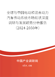 全球與中國電動和混合動力汽車傳動系統(tǒng)市場現(xiàn)狀深度調(diào)研與發(fā)展趨勢分析報告（2024-2030年）