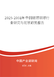 2025-2031年中國鍍鉻鋼球行業(yè)研究與前景趨勢報告