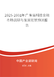2025-2031年廣東省科技金融市場調(diào)研與發(fā)展前景預測報告