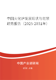 中國火化爐發(fā)展現(xiàn)狀與前景趨勢報告（2025-2031年）