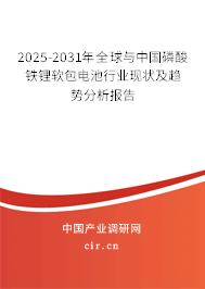 2025-2031年全球與中國磷酸鐵鋰軟包電池行業(yè)現(xiàn)狀及趨勢分析報告