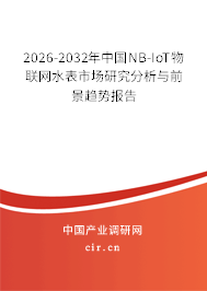 2026-2032年中國NB-IoT物聯(lián)網(wǎng)水表市場研究分析與前景趨勢報告