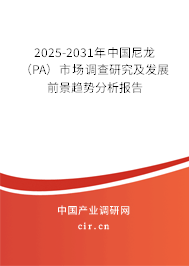 2025-2031年中國尼龍（PA）市場調(diào)查研究及發(fā)展前景趨勢分析報(bào)告