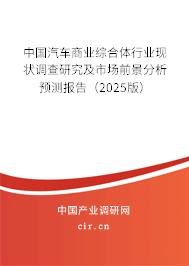 中國汽車商業(yè)綜合體行業(yè)現(xiàn)狀調(diào)查研究及市場前景分析預測報告（2025版）