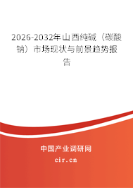 2026-2032年山西純堿（碳酸鈉）市場(chǎng)現(xiàn)狀與前景趨勢(shì)報(bào)告