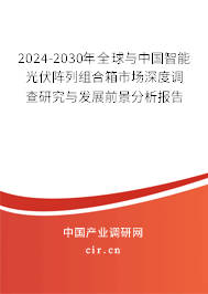 2024-2030年全球與中國智能光伏陣列組合箱市場深度調(diào)查研究與發(fā)展前景分析報告