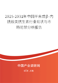 2025-2031年中國半合成β-內(nèi)酰胺類抗生素行業(yè)現(xiàn)狀與市場前景分析報告