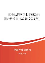 中國電站鍋爐行業(yè)調(diào)研及前景分析報(bào)告（2025-2031年）