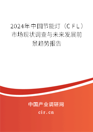 2024年中國節(jié)能燈（CFL）市場現(xiàn)狀調(diào)查與未來發(fā)展前景趨勢報(bào)告