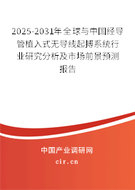 2025-2031年全球與中國經(jīng)導(dǎo)管植入式無導(dǎo)線起搏系統(tǒng)行業(yè)研究分析及市場前景預(yù)測報(bào)告