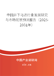 中國井下馬達行業(yè)發(fā)展研究與市場前景預測報告（2025-2031年）