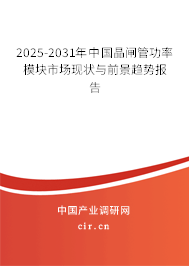 2024-2030年中國晶閘管功率模塊市場現(xiàn)狀與前景趨勢報告 2024-2030年中國晶閘管功率模塊市場現(xiàn)狀與前景趨勢報告