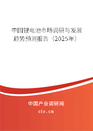 中國鋰電池市場調(diào)研與發(fā)展趨勢預(yù)測報告(2025年) 中國鋰電池市場調(diào)研與發(fā)展趨勢預(yù)測報告(2025年)