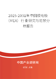 2025-2031年中國膜電極（MEA）行業(yè)研究與前景分析報告
