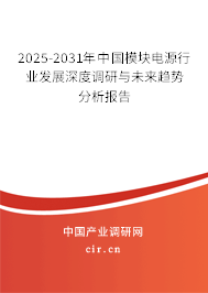 2025-2031年中國模塊電源行業(yè)發(fā)展深度調(diào)研與未來趨勢分析報告 2025-2031年中國模塊電源行業(yè)發(fā)展深度調(diào)研與未來趨勢分析報告