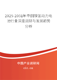 2025-2031年中國(guó)鎳氫動(dòng)力電池行業(yè)深度調(diào)研與發(fā)展趨勢(shì)分析