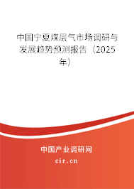 中國寧夏煤層氣市場調(diào)研與發(fā)展趨勢預(yù)測報告（2025年）