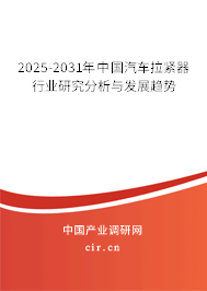 2025-2031年中國汽車?yán)o器行業(yè)研究分析與發(fā)展趨勢(shì)