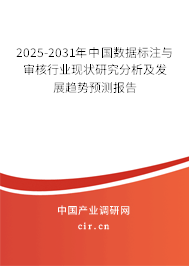 (最新)中國數據標注與審核行業(yè)現狀研究分析及發(fā)展趨勢預測報告 (最新)中國數據標注與審核行業(yè)現狀研究分析及發(fā)展趨勢預測報告