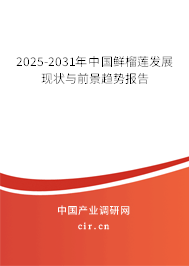 2025-2031年中國(guó)鮮榴蓮發(fā)展現(xiàn)狀與前景趨勢(shì)報(bào)告