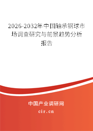 2026-2032年中國(guó)軸承鋼球市場(chǎng)調(diào)查研究與前景趨勢(shì)分析報(bào)告