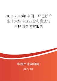 2012-2018年中國二環(huán)己胺產(chǎn)業(yè)十大標竿企業(yè)盈利模式與市場消費考察報告