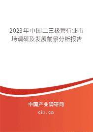 2023年中國二三極管行業(yè)市場調(diào)研及發(fā)展前景分析報(bào)告 2023年中國二三極管行業(yè)市場調(diào)研及發(fā)展前景分析報(bào)告