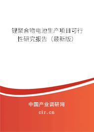 鋰聚合物電池生產(chǎn)項(xiàng)目可行性研究報(bào)告（最新版）